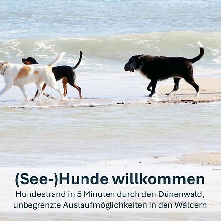 Paradies-Ambiente - Strandnah, Sauna, Kamin, Hundefreundlich Zinnowitz Extérieur photo