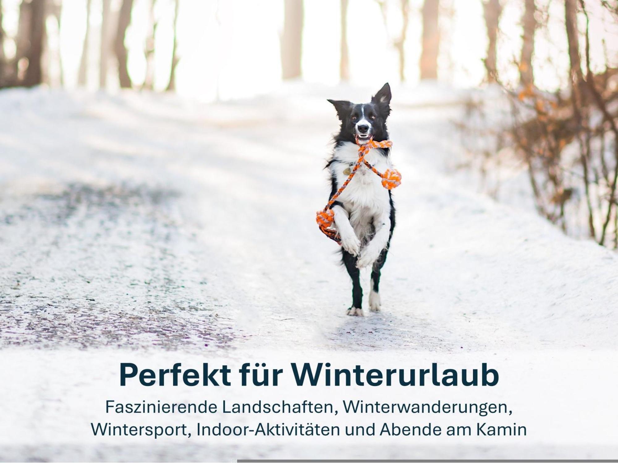 Paradies-Ambiente - Strandnah, Sauna, Kamin, Hundefreundlich Zinnowitz Extérieur photo